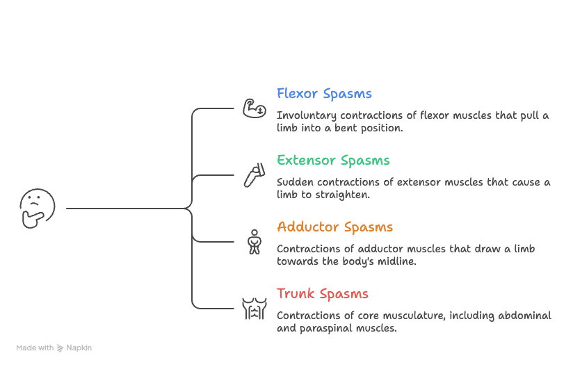 Types Of Muscle Spasm By Movement